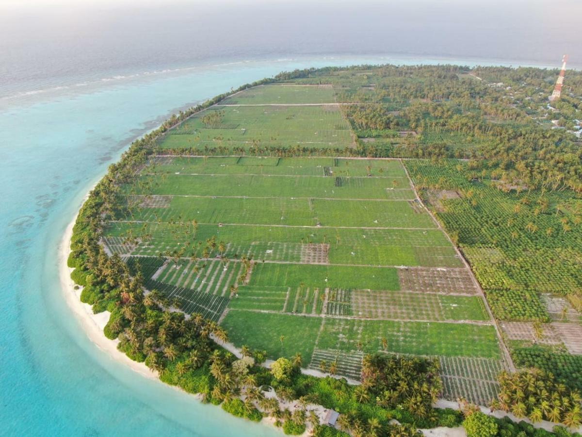 Thila Farm View Hotel Thoddoo Exterior foto