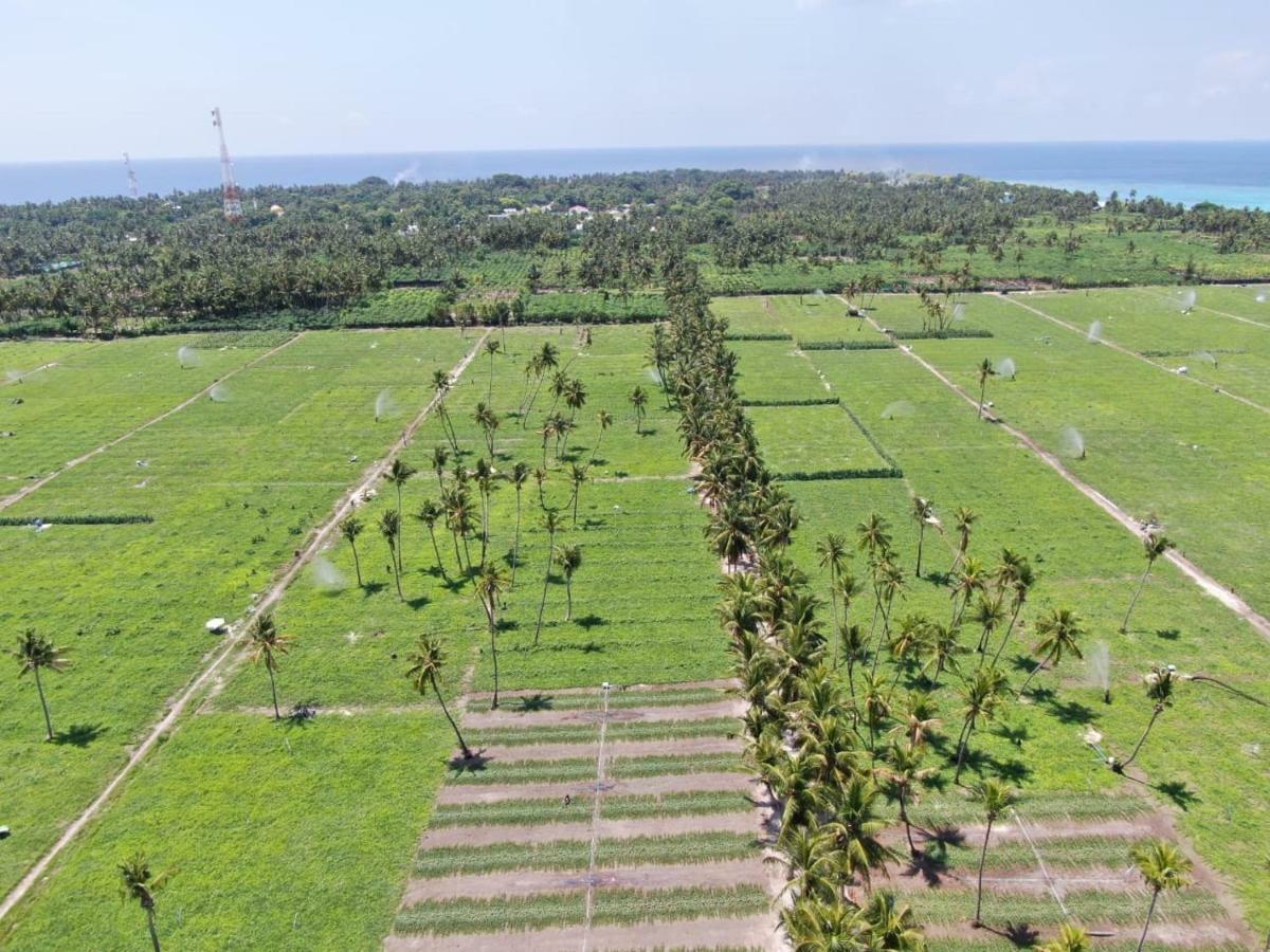 Thila Farm View Hotel Thoddoo Exterior foto